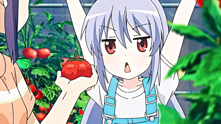 Little Apple