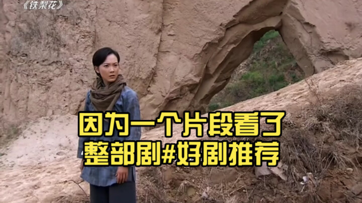 Watched the whole series just for one clip #GreatSeriesRecommendation #IronPearFlower