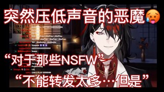 【Vox/切/熟】对于那些NSFW的东西