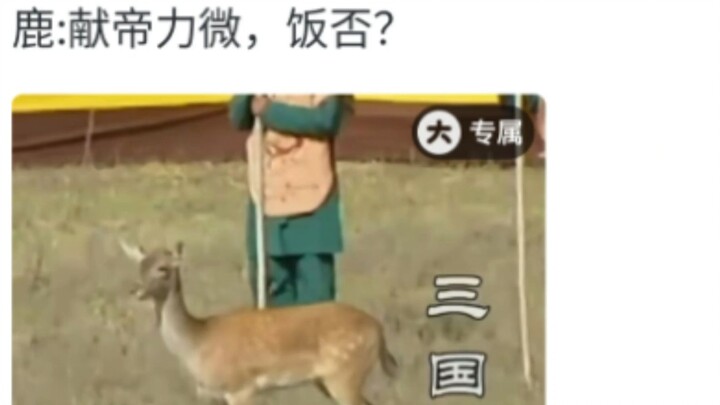 Cao Cao: I am the Heaven.