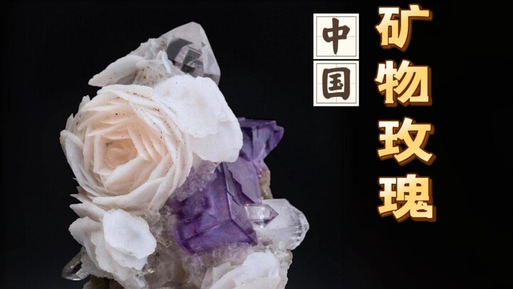 The Legendary Chinese Mineral Rose: The True “Flower of Immortality”