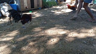 pang last week Ng Feb.😁