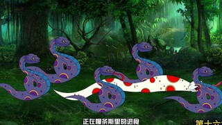 第16集：沙雕发现白银蟒王