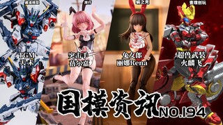 Bunny Girls Double Up! Huo Lin Fei Optimized and Upgraded! National Model News Issue 194 Early Augus