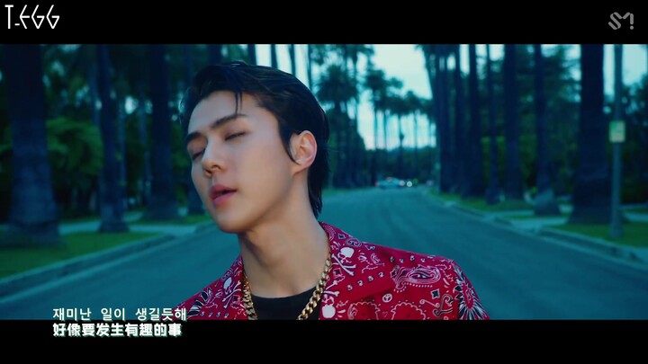 【TE】190721 EXO-SC 《What A Life》MV 1080P Chinese Subtitles