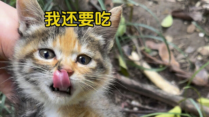 Chẳng biết nó đã phải lấy bao nhiêu can đảm, mới từng bước một tiến về phía tôi.