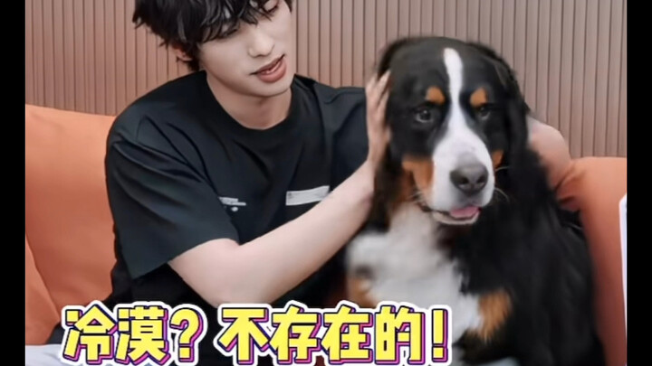 หมา: เจ้านายกับคนรัก ฉันมองแวบเดียวก็รู้แล้วนะ
