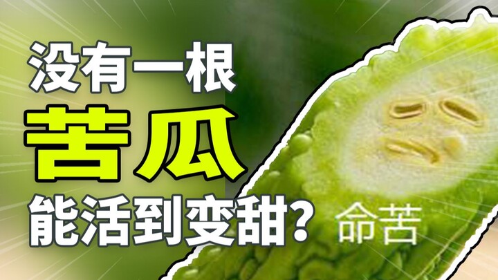 No bitter melon ever turns sweet?