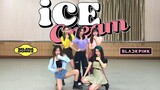 桂圆茶｜实力翻跳BLACKPINK新歌Ice Cream(with Selena Gomez) 2套换装 用尽灵魂的甜美可爱