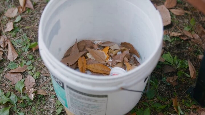 Top idol x suddenly aged intern "You are the only one who can see through my inner pain." • Warm and