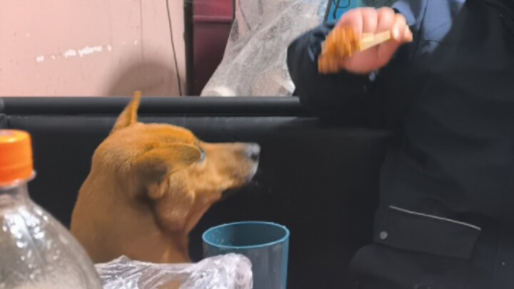 Buổi trưa còn vui vẻ ăn cơm nguội mang về từ nhà ăn, ai ngờ lại trở thành bữa ăn cuối cùng.