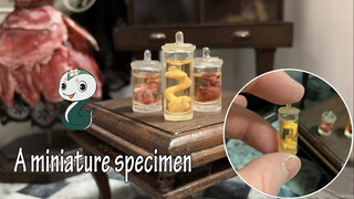 [Tutorial DIY] Pembuatan Spesimen Miniatur Ular & Hati