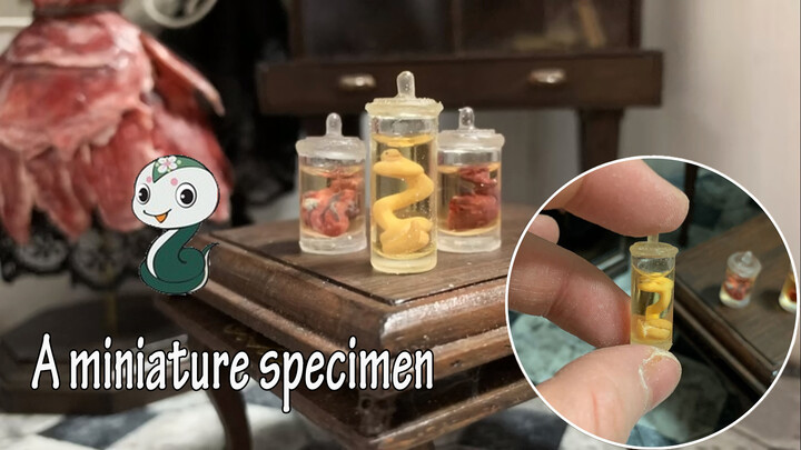 [Miniature] [DIY Tutorial] Snake & Heart Miniature Specimen Making