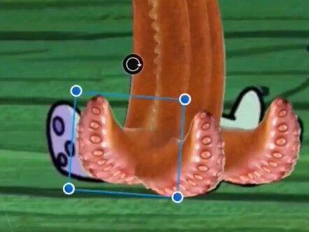 Ini adalah Saudara Gurita yang sebenarnya