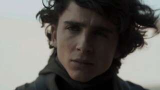 [Timothée Chalamet|4K HDR] Đây là nét đẹp nhuộm màu Bilibili