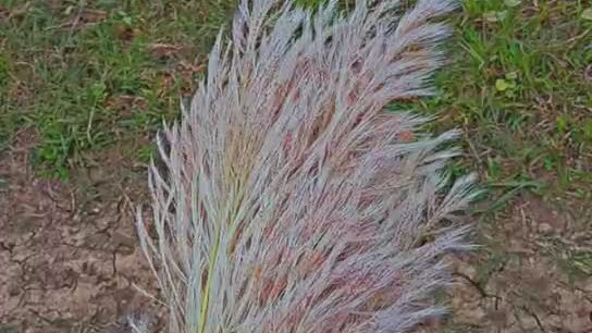 new holland 🚜🚜