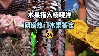 【صائد الفواكه】تحديد الفواكه الشائعة على الإنترنت 24