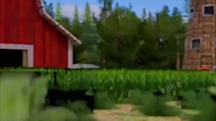 Apa yang akan terjadi kalau ayam makan sosis?