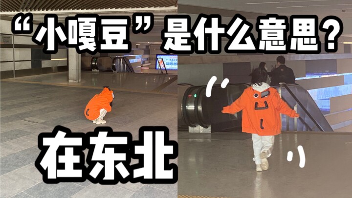 A 148-cm-tall petite girl living in Northeast China (Episode 2)