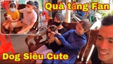 Cún Siêu Cute Dành Tặng Fan/- Săn Bắt Ẩm Thực Vùng Cao
