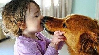 ไม่มีอะไรยิ่งใหญ่ไปกว่า Dog and Baby - Cutest Baby and Puppy Compilation