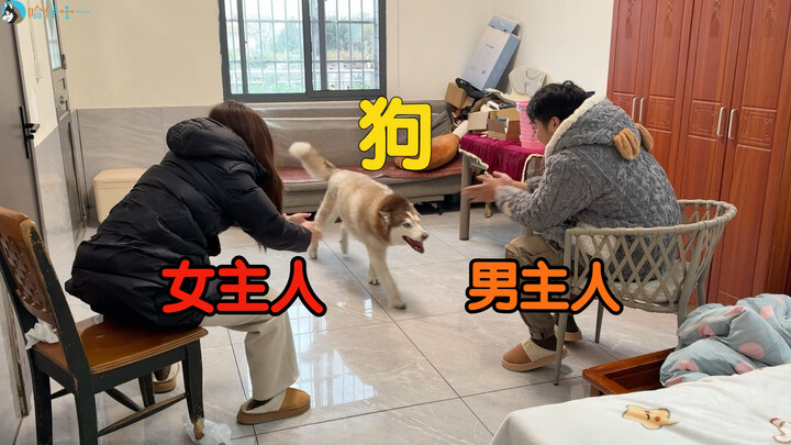 Tuan dan Nyonya memanggil nama anjing secara bersamaan—siapa yang akan mereka pilih?