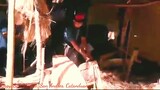 How to make Abaca Fiber?. stripping.👌 (Sinira ni FB ang quality ng Video) old video from FB Acct.🤣🤣🤣