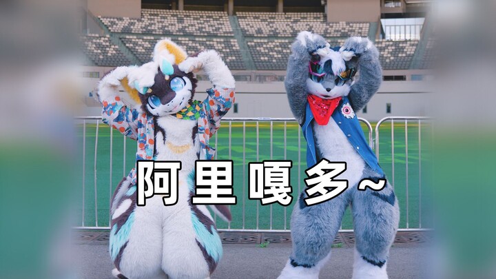 喵！阿里嘎多~
