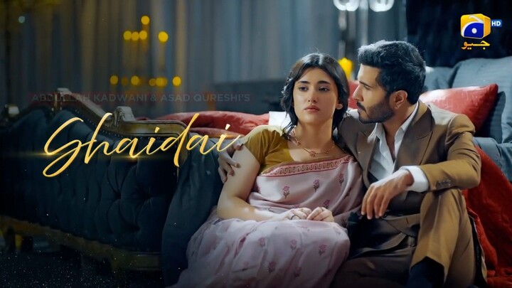 Shaidai Episode 12 in Hindi