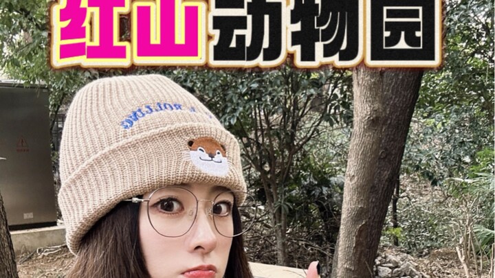 不敢想如果动物园都能有这样的觉悟，这个世界该有多么美好……爱不爱它们，真的很明显