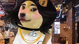 Zhang San yang cerah dan ceria! ! !