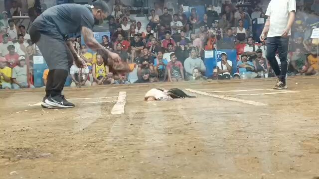 gold compete in 3 hits ulutan at taytay arena  unscratched again 2x winner