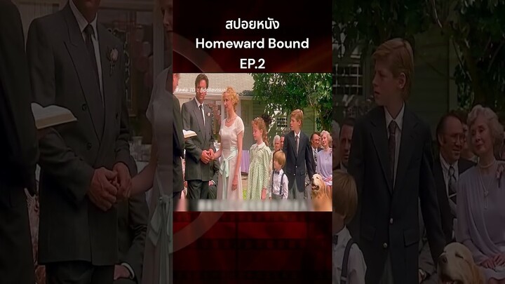 สปอยหนัง Homeward Bound การเดินทางกลับบ้านของสุนัขและแมว2 #สปอยหนัง #รีวิวหนัง #หนัง