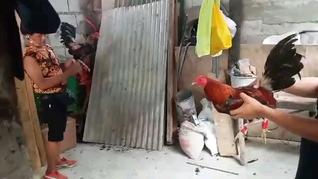 ariel sabong .. sa loob ng cr