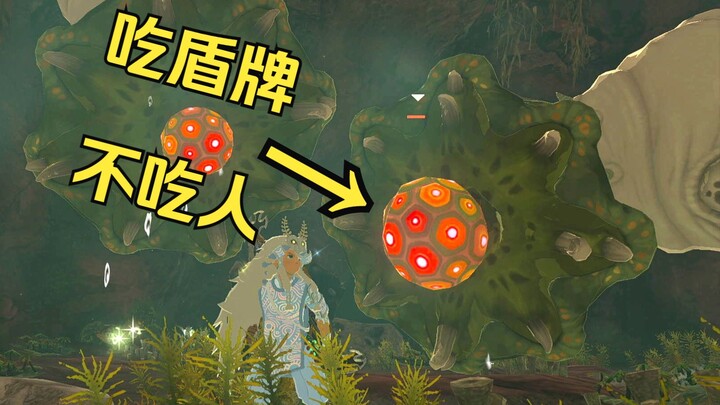 [The Ecology of Zelda] Strange Monsters in the Tears of the Kingdom Caves! Ecological Details 90% of
