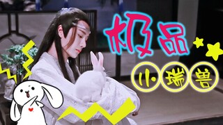 【剧版忘羡】极品小瑞兽 01