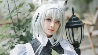 [Peach] Dokter tidak ada di rumah hari ini, lynx tua sebenarnya... (Arknights Maid Kelsey cos film fitur)