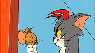 Cat and Mouse: The story of eternal rivals!