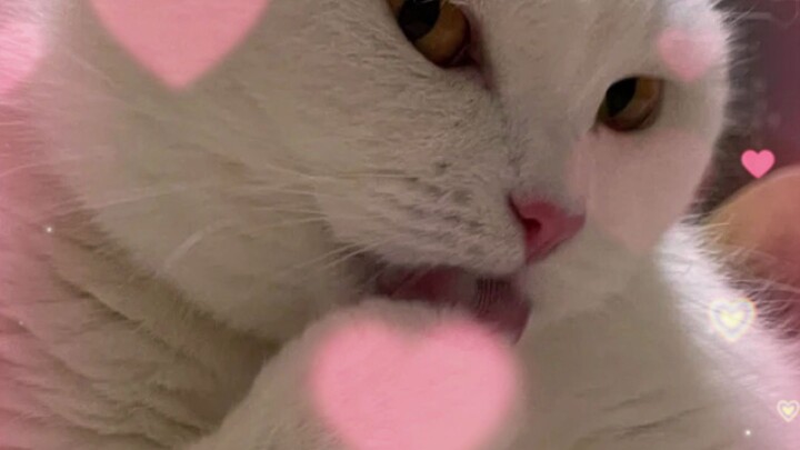 ❤Mengonsumsi ibuprofen secara diam-diam sendirian❤