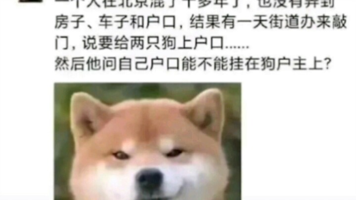 Hình ảnh meme hài hước mỗi ngày số 65