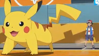 Pokemon 2019 - 85.5