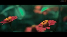 Wakatte Ite mo (Nevertheless) The Shapes of Love (2024) Episode 8 End Eng sub