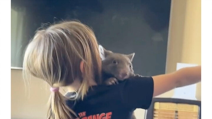 What are you and Kevin up to?