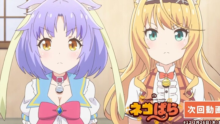 [January] Cat Girl Paradise Episode 12 Preview [MCE Chinese Subbing Group]