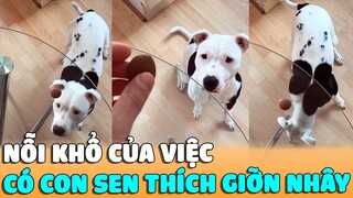 NỖI KHỔ Của Việc Có CON SEN Thích GIỠN NHÂY | Siêu Thú Cưng