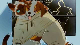 【furry】cats and dogs