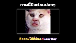 ภาพนี้มีอะไรเเปลกๆ #short  #easyboy