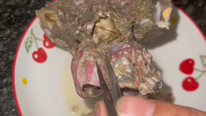 How hungry is the person who eats this barnacle for the first time?