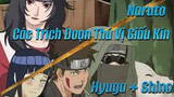 Naruto 
Các Trích Đoạn Thú Vị Giấu Kín
Hyuga + Shino