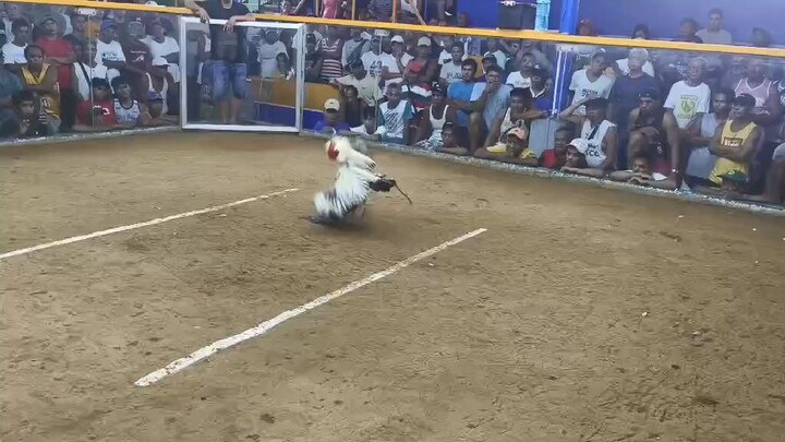 70k parada easy money!